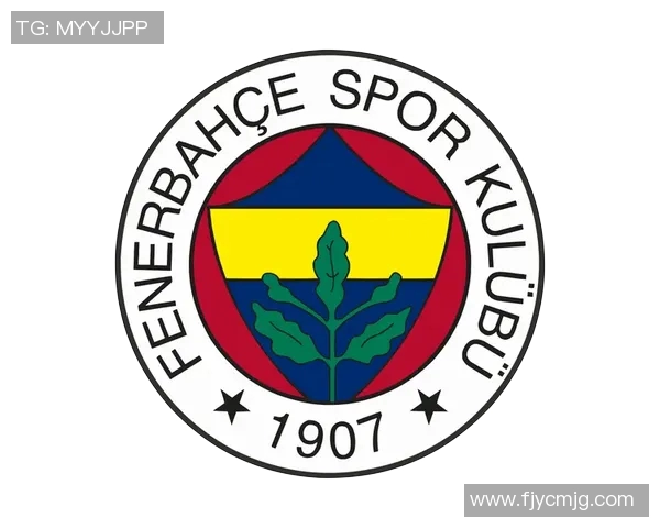 费内巴切足球俱乐部的辉煌历史与未来展望解析